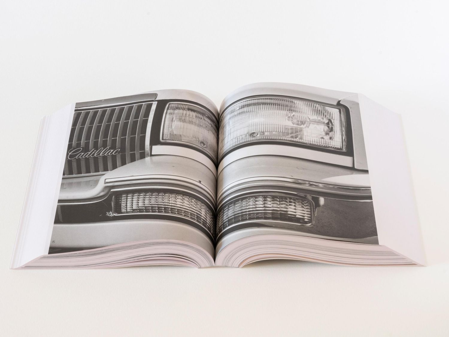Aleix Plademunt, Matter - Imagen 4