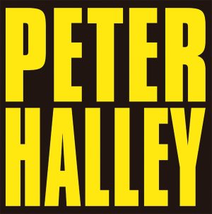 Peter Halley. Since 2000