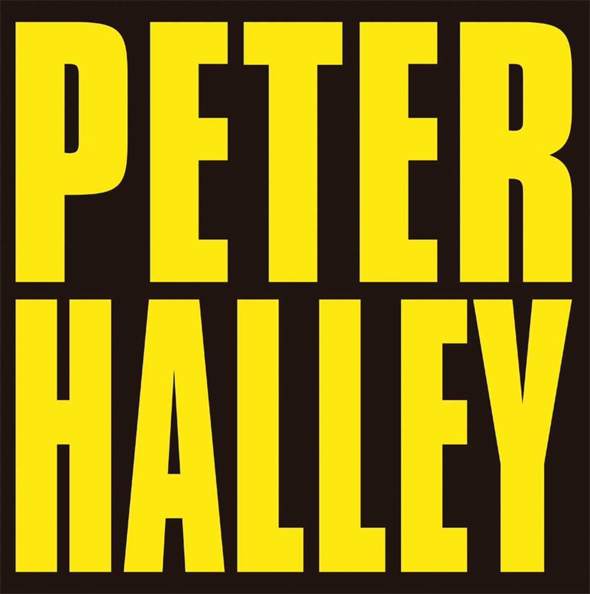 Peter Halley. Since 2000