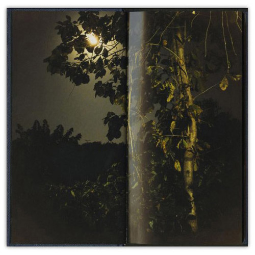 Dayanita Singh - Imagen 5