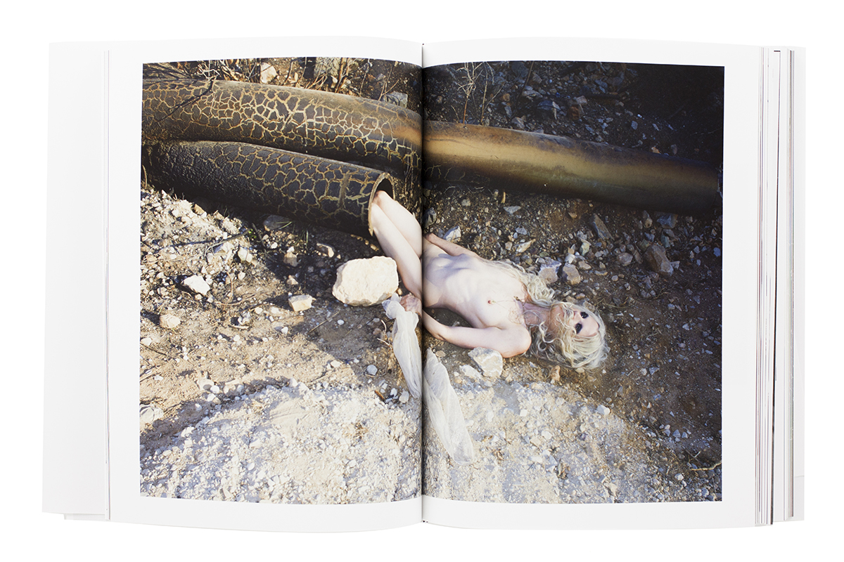 Nobuyoshi Araki & Juergen Teller - Imagen 5