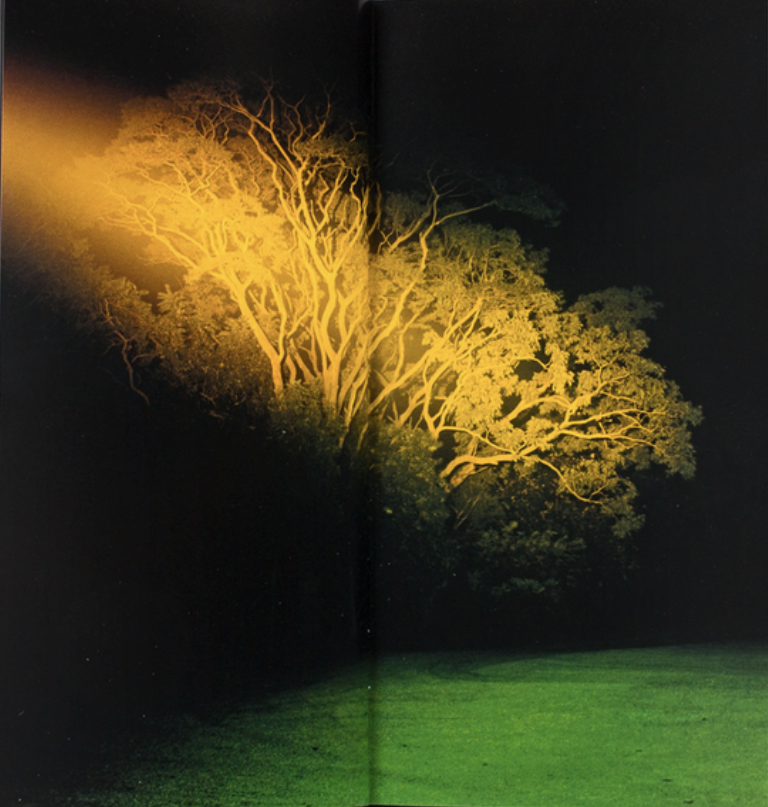 Dayanita Singh - Imagen 2