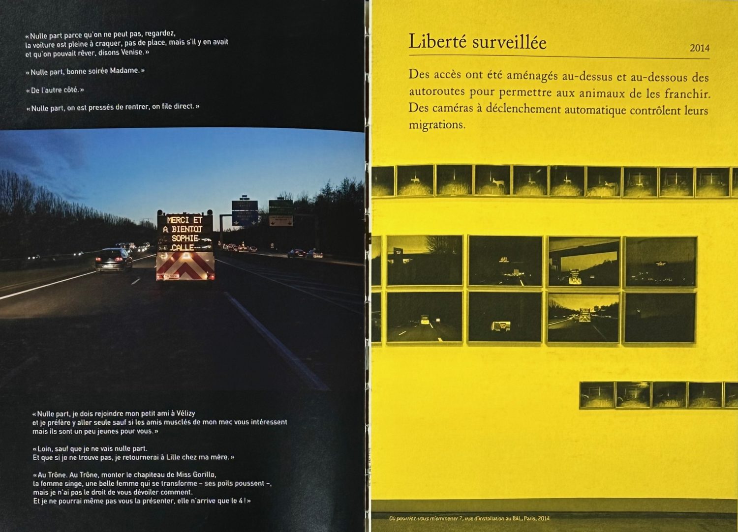 Sophie Calle - Imagen 4