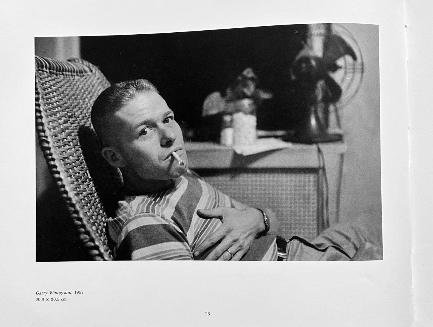 Lee Friedlander - Imagen 5