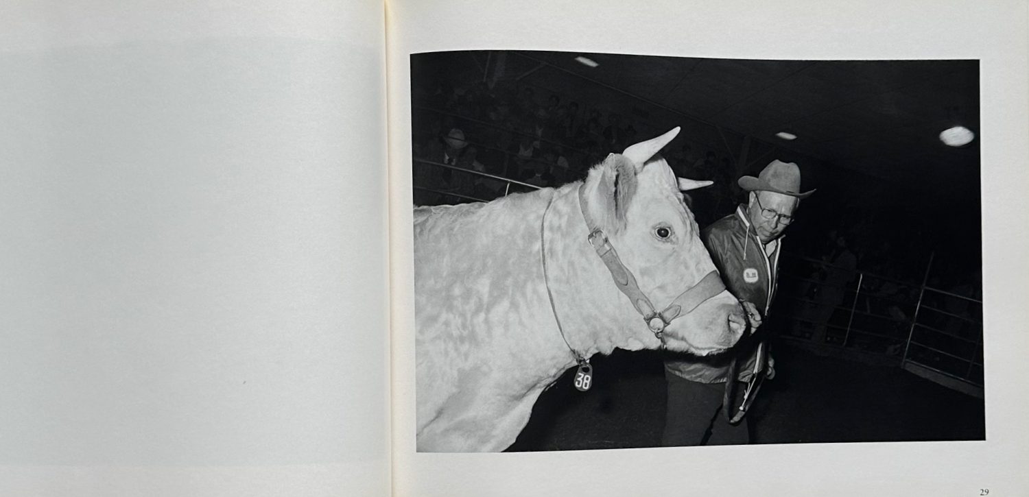 Garry Winogrand - Imagen 6