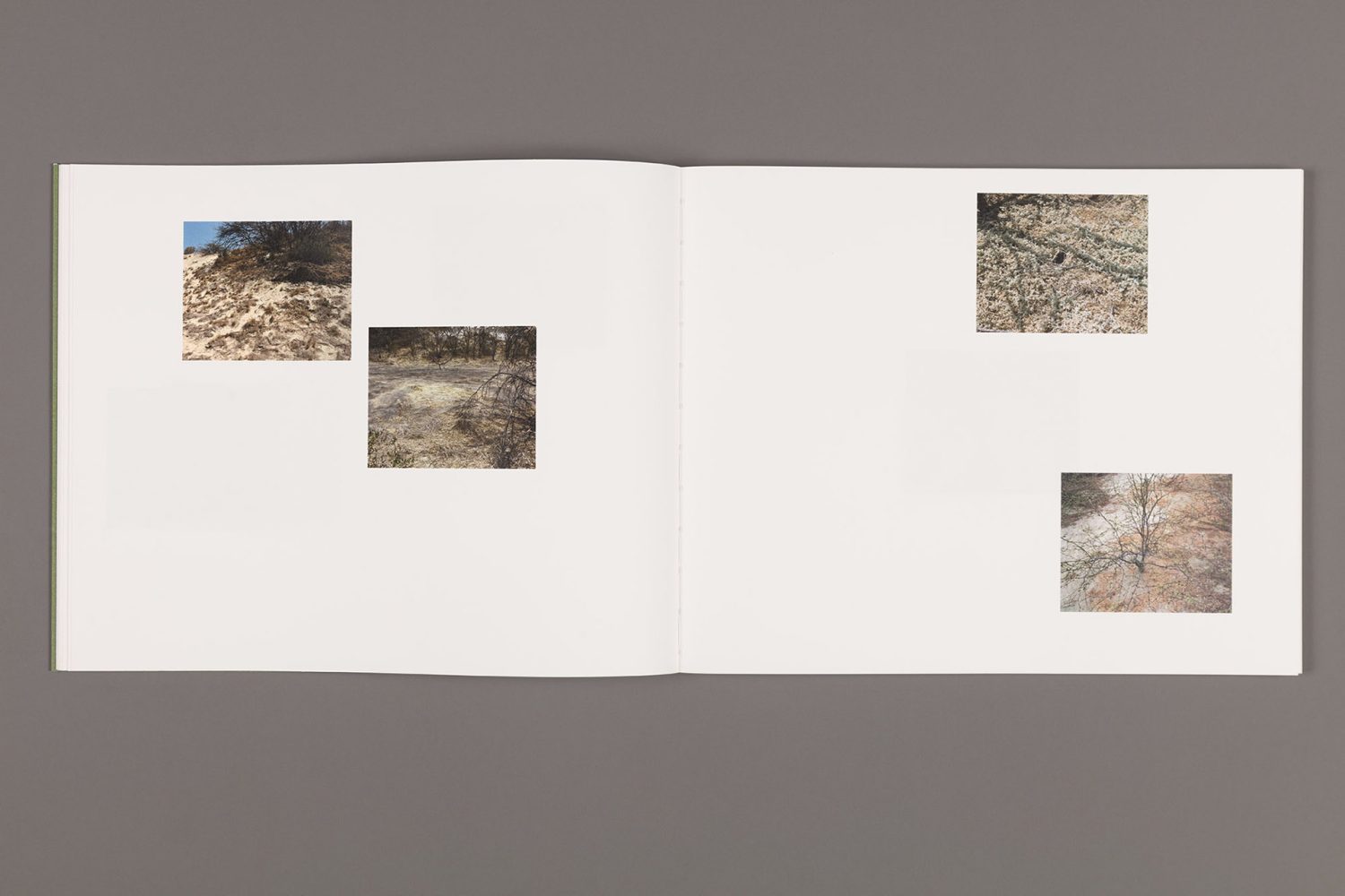 Philippe Gruenberg - Imagen 3