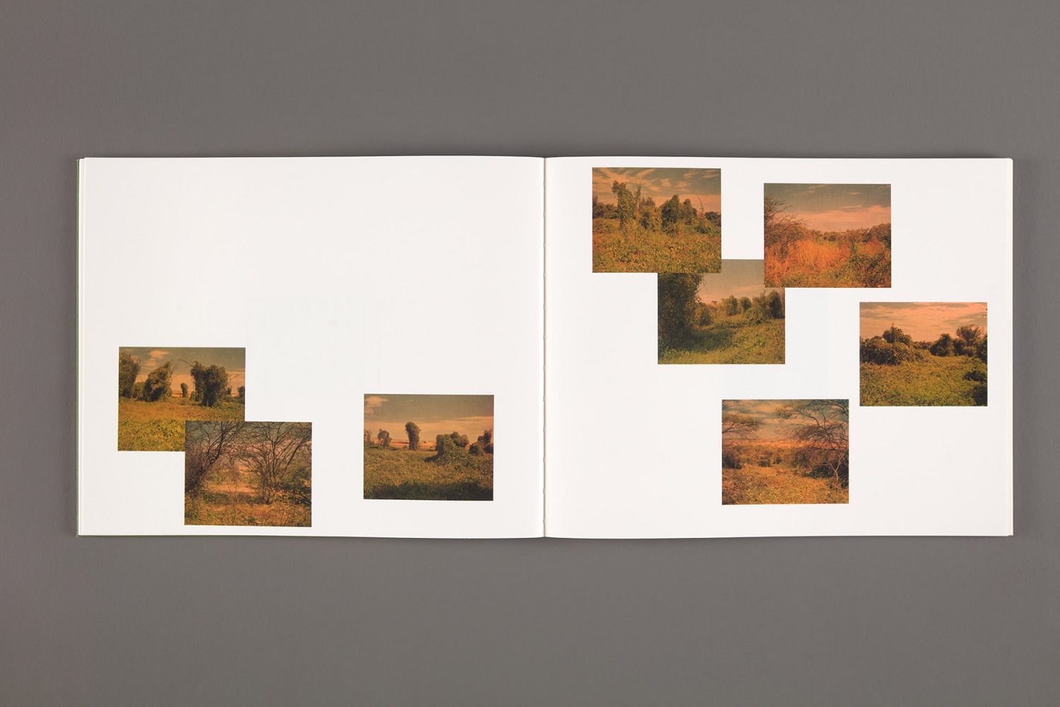Philippe Gruenberg - Imagen 5