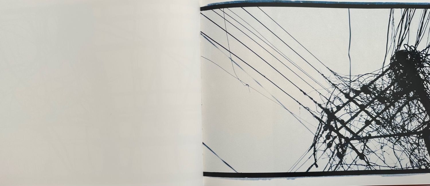 Frederic Amat - Imagen 3